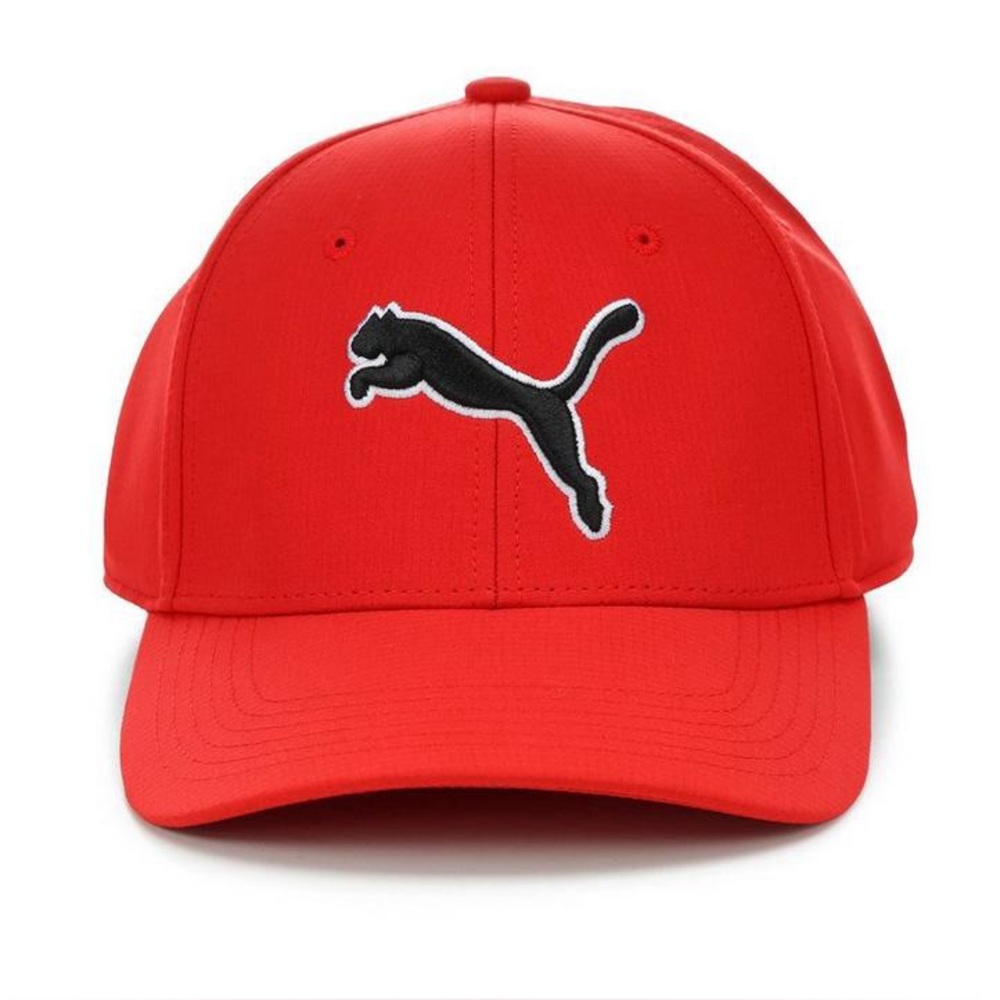 New with tags Puma men’s Evercat Dillon 2.0 stretch cap